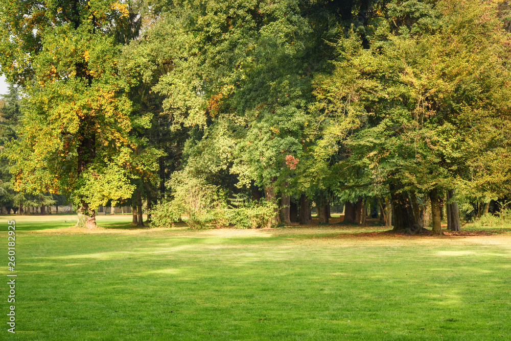 Obraz premium Monza park. Italy