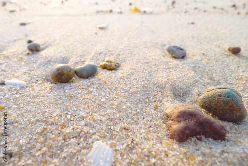 Sand background with little stones in morning.,Sandy texture with stones. ,copy space.