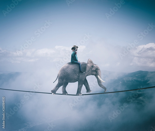 Elephant on rope photo