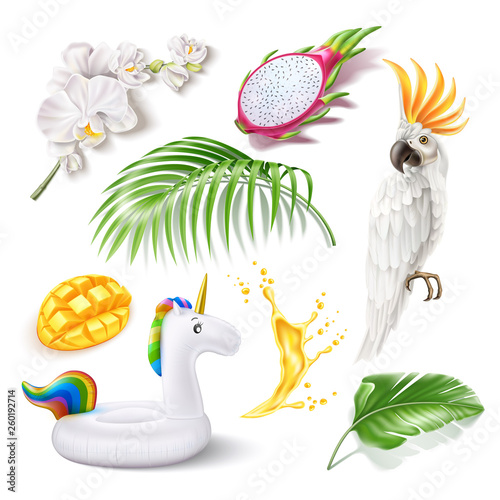 Realistic summer holiday, beachparty tropical design vector collection. Exotic cockatoo parrot, pitahaya dragonfruit, sliced mango cubes, orange juice splash, palm green leaves, orchid flower