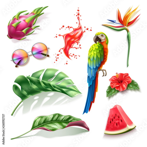 Realistic summer holiday, paradise resort design vector collection. Tropical fruits pitahaya, watermelon, hibiscus, strelizia flowers, macaw colorful parrot, sunglasses, red juice splash.