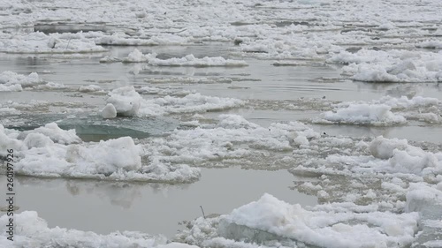 Cracked ice floes floating on the Siberian river, Altay