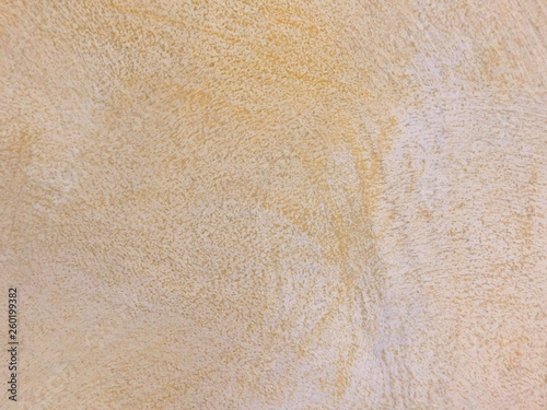 Design plaster background 