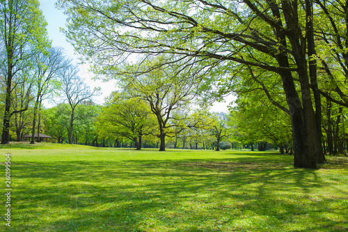 green garden