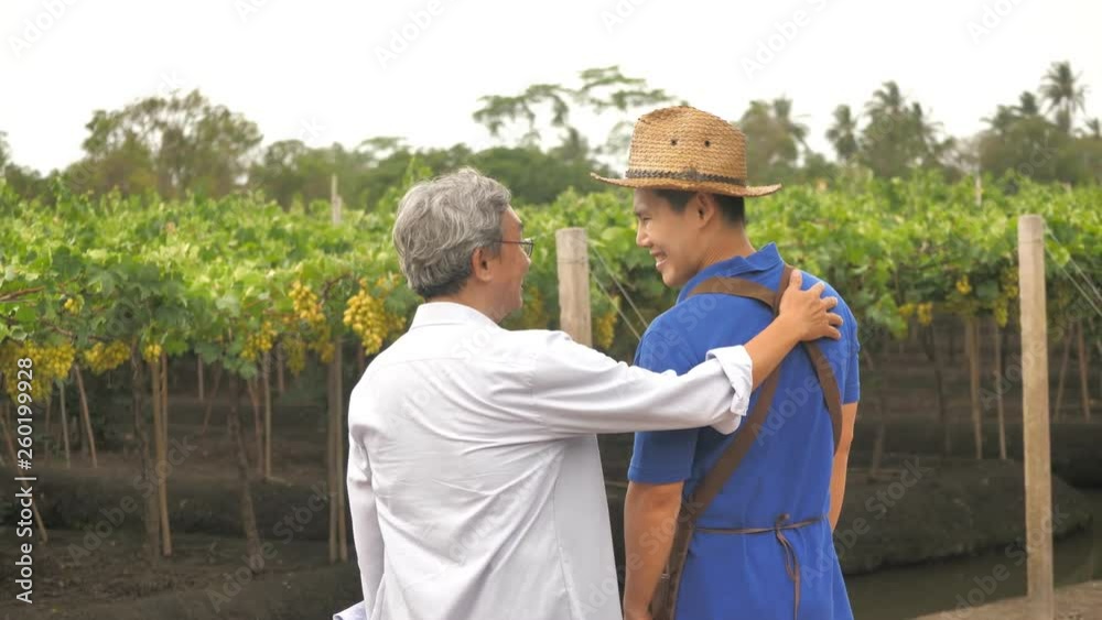 Back view of father and son standing together and looking at grapes on vineyard Back view of father and son standing together and looking at grapes on vineyard