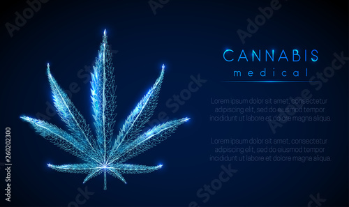 Medical cannabis. Marihuana leaf. Low poly style design.