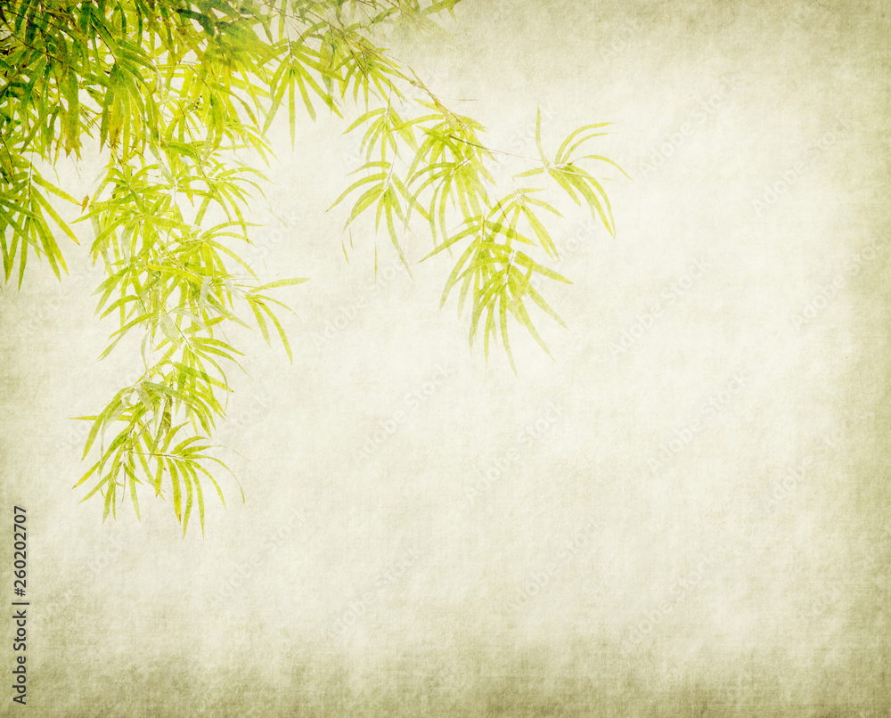 Obraz premium bamboo on old grunge paper texture background