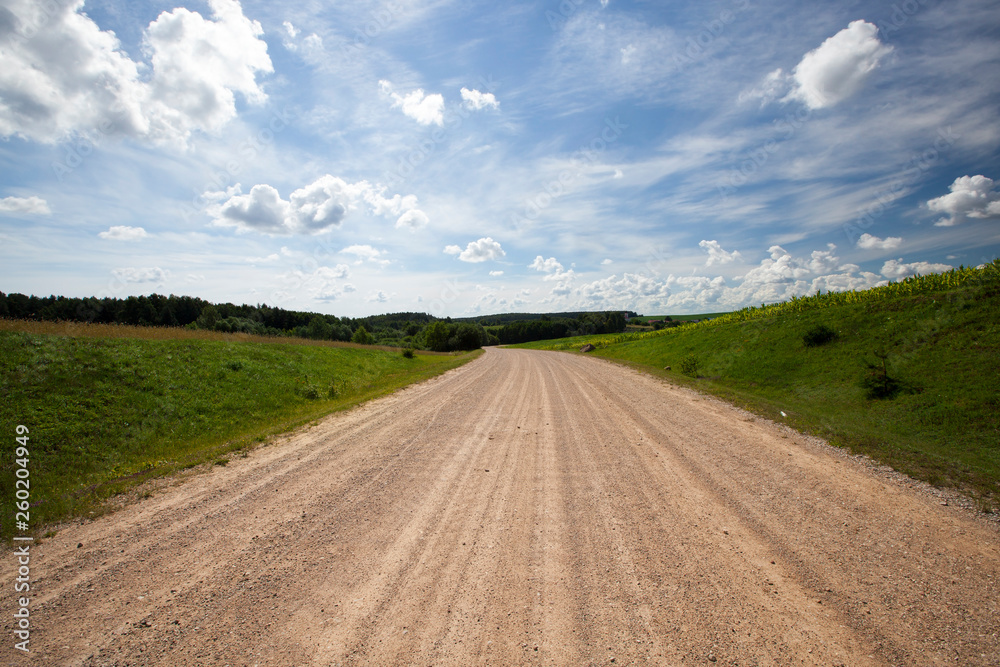 Summer or Spring landscape