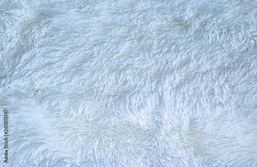 Fluffy texture of fur for background, design.