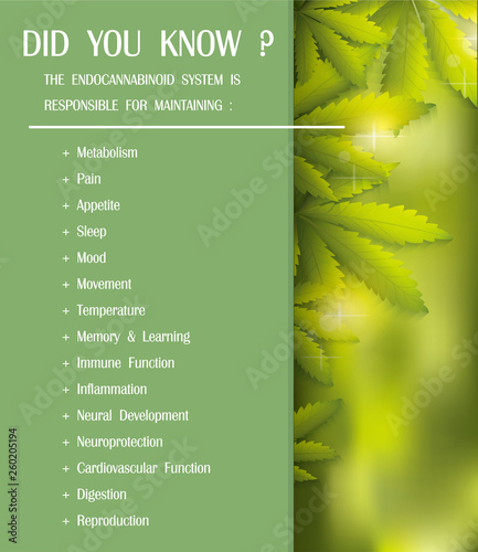THE ENDOCANNABINOID SYSTEM IS RESPONSIBLE FOR MAINTAINING,vector infographic on cannabis natural background.