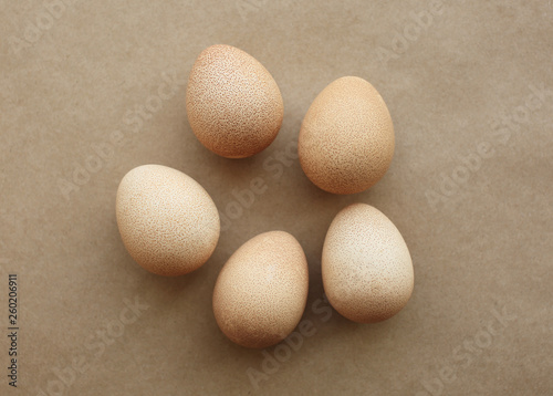 Five eggs of Guinea fowl.