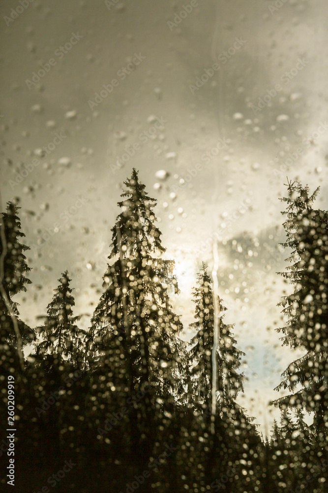 custom made wallpaper toronto digitalBeautiful view of fir trees from a cabin window in the mountains, covered in rain drops, and rain clouds in summer