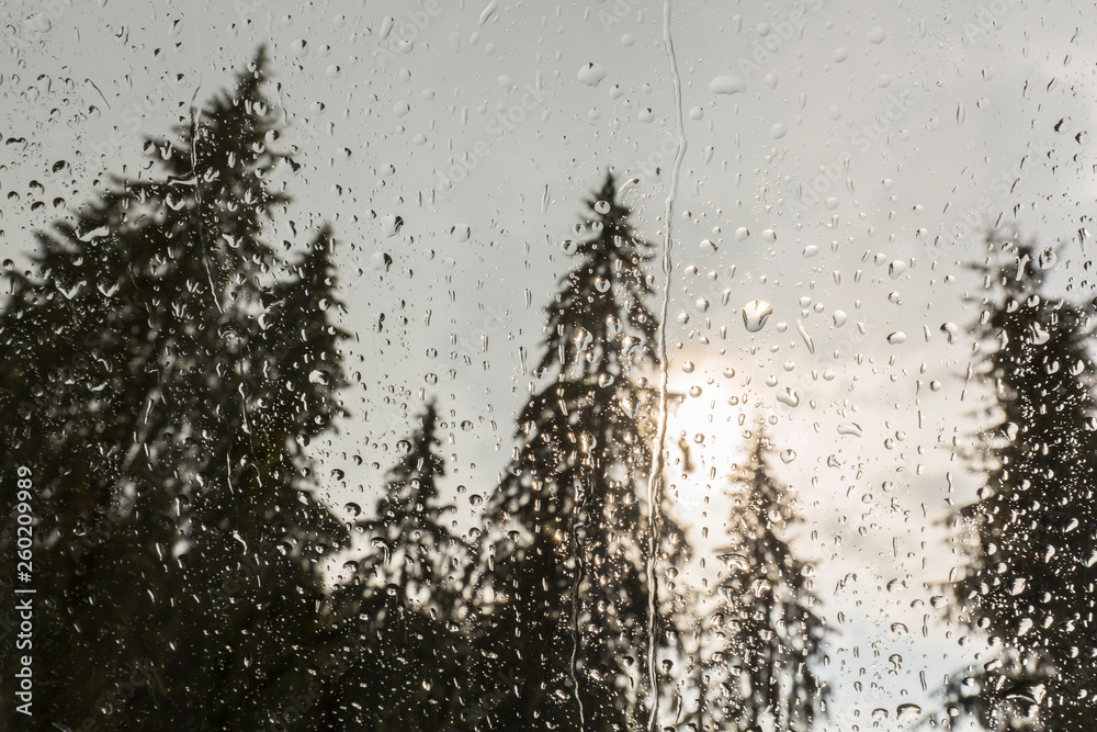 Beautiful view of fir trees from a cabin window in the mountains, covered in rain drops, and rain clouds in summer Beautiful view of fir trees from a cabin window in the mountains, covered in rain drops, and rain clouds in summer