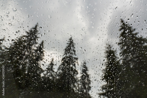 Beautiful view of fir trees from a cabin window in the mountains, covered in rain drops, and rain clouds in summer