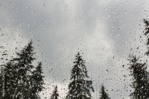 Beautiful view of fir trees from a cabin window in the mountains, covered in rain drops, and rain clouds in summer