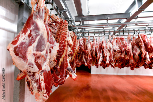 Papier peint Close up of a half cow chunks fresh hung and arranged in a row in a large fridge in the fridge meat industry