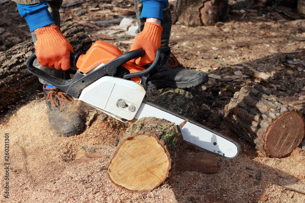 electric saw in the hands of a man and log electric saw in the hands of a man and log