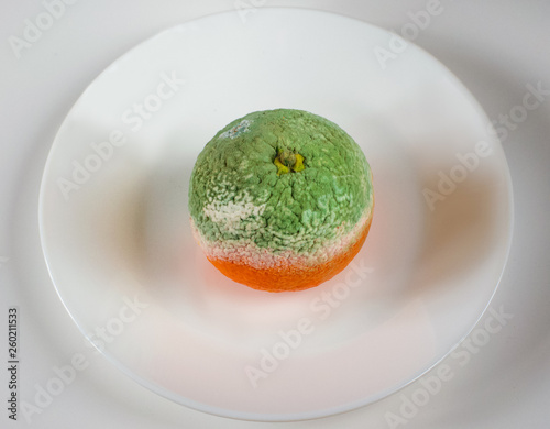 Rotten tangerine on a white plate. Spoiled mandarin with green mold and fungus. Moldy fruit. Moldy fruit. Isolated on white background. Selective focus. Blurred background.