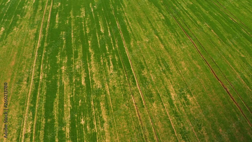 Aerial Overflight of a green field Aerial Overflight of a green field