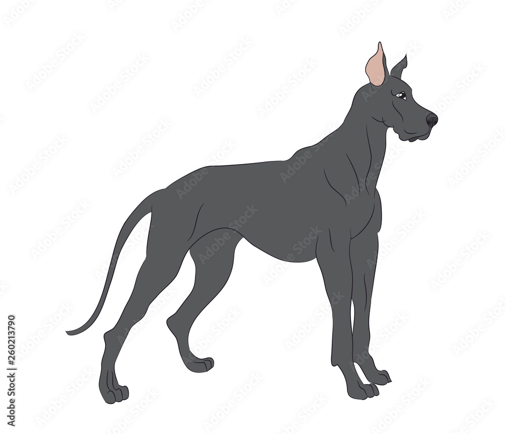vector illustration dog is standing