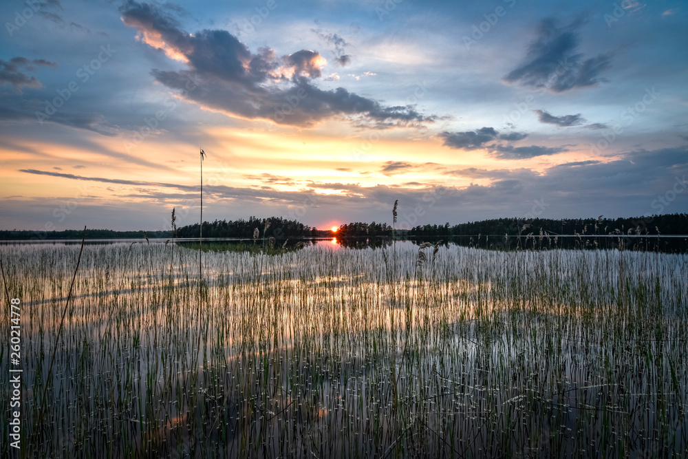 Obraz premium Reeds foreground with beautiful sunset lake reflection Sweden