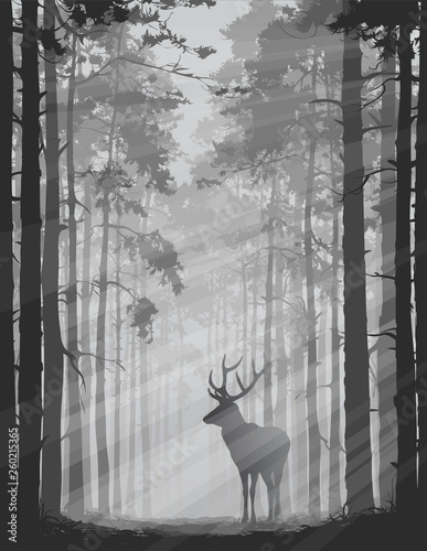 Fototapety na klatkę schodową  deer-in-the-forest