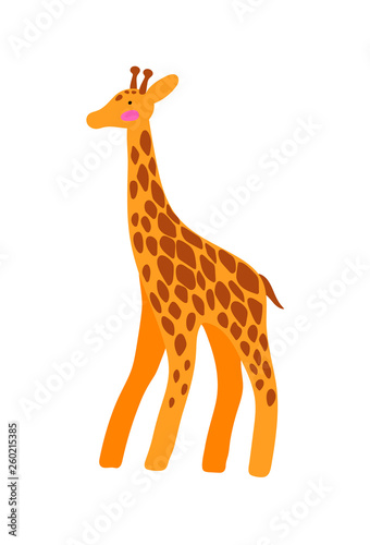 Vector illustration of a giraffe isolated on white