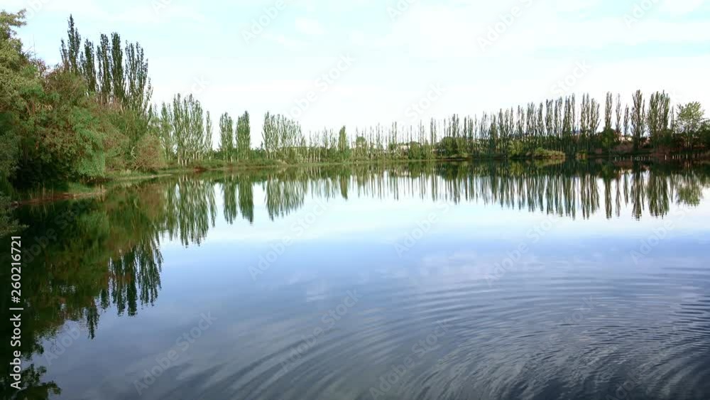 A small pond surrounded by green trees A small pond surrounded by green trees