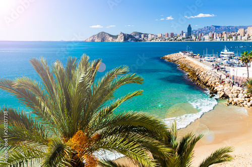 Poniente beach with palm trees, the port, skyscrapers and mountains , Benidorm Spain photo