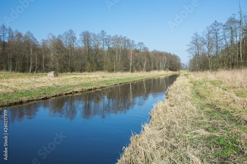 Tranquil blue river and meadow against the forest and blue sky