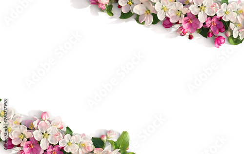 Fototapeta Naklejka Na Ścianę i Meble -  Frame of flowers apple tree on white background with space for text. Top view, flat lay