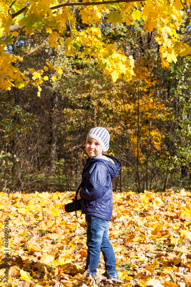 Child photographer in the autumn park Child photographer in the autumn park