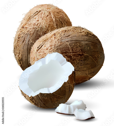 Two coconut nuts and a half third on a white background. 3D vector. High detailed realistic illustration