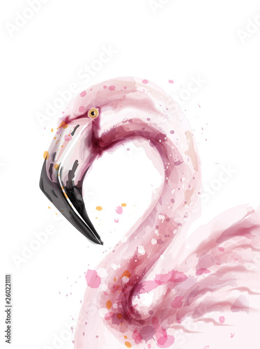 Flamingo watercolor Vector isolated. Exotic flamingo bird with palm leaves. Tropical summer decoration invitations