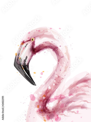 Flamingo watercolor Vector isolated. Exotic flamingo bird with palm leaves. T...