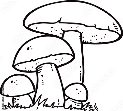 Mushrooms. Organic vegetarian product 