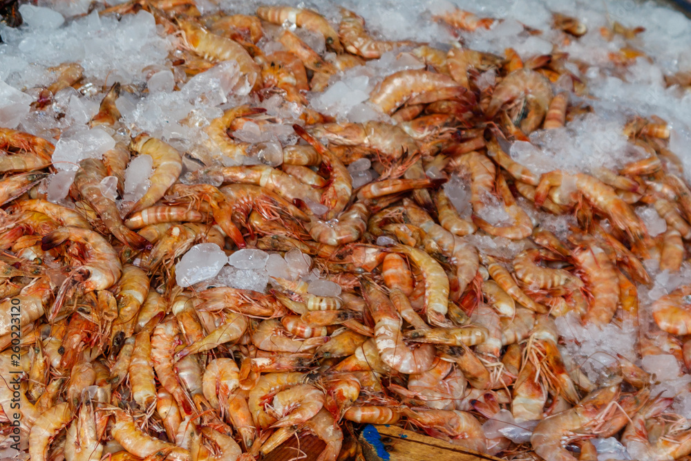 Fresh raw shrimps in the fish market