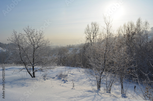Beautiful winter landscape with snowy trees in sunny frosty day.