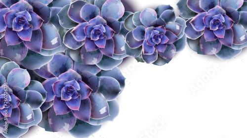 Spring banner with blue succulent flower Vector watercolors