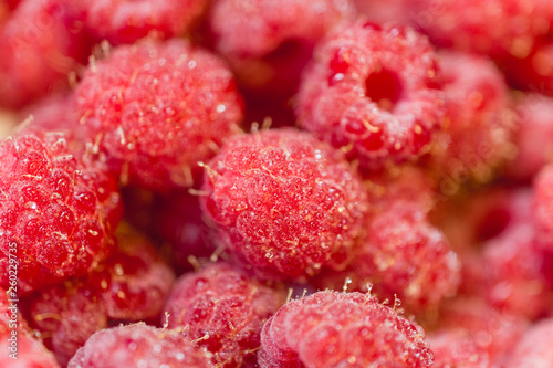 Background texture of dripping frash raspberry. photo