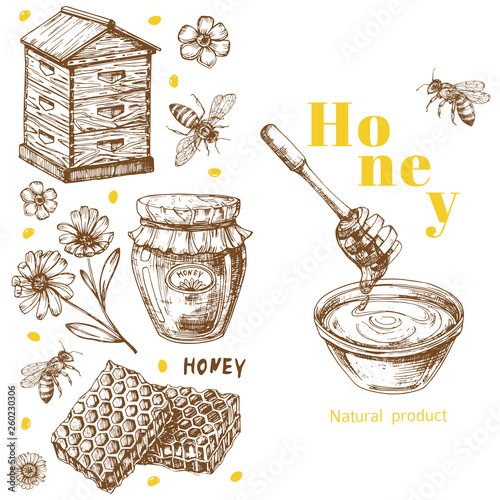 Retro vector honey background template with hand drawn elements. Illustration of honey bee vintage, health natural sweet