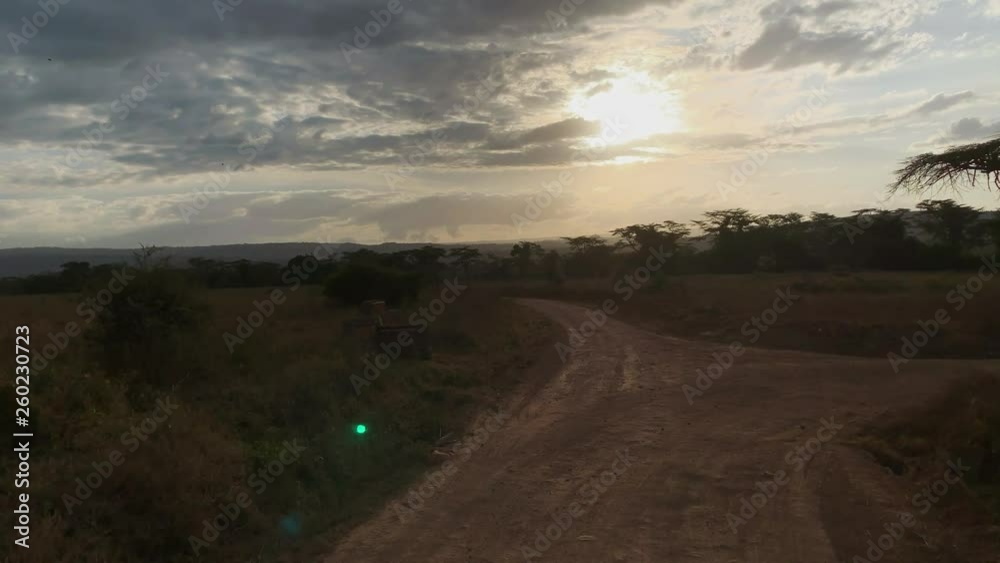 Driving african savannah landscape in Maasai Mara National Reserve at dusk Driving african savannah landscape in Maasai Mara National Reserve at dusk