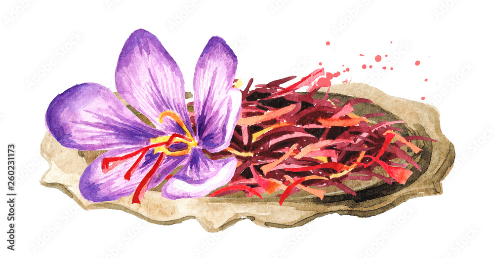 Dried saffron spice and a flower on the plate. Watercolor hand drawn illustration, isolated on white background