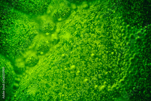 Fotografija Abstract green background with moving dots.