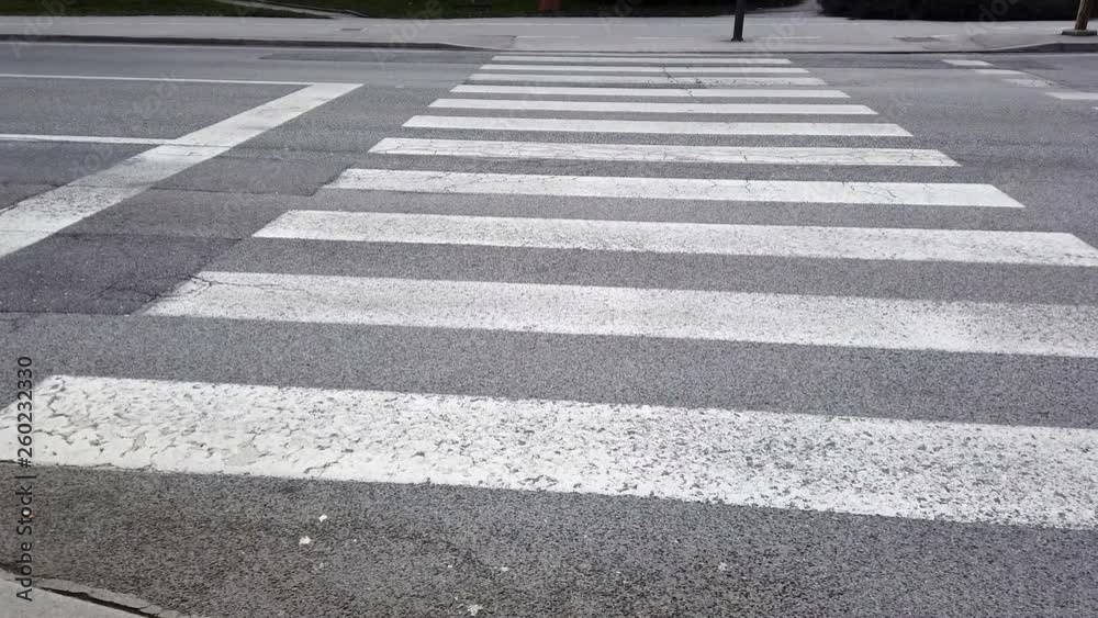 Filming while waiting at road pedestrian crossing with old worn out white lines. Filming surroundings while taking a relaxing autumn day walk. Filming while waiting at road pedestrian crossing with old worn out white lines. Filming surroundings while taking a relaxing autumn day walk.