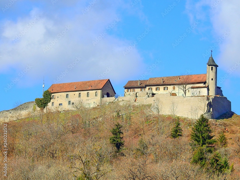 Chateau d'Allinges (Chateau neuf)