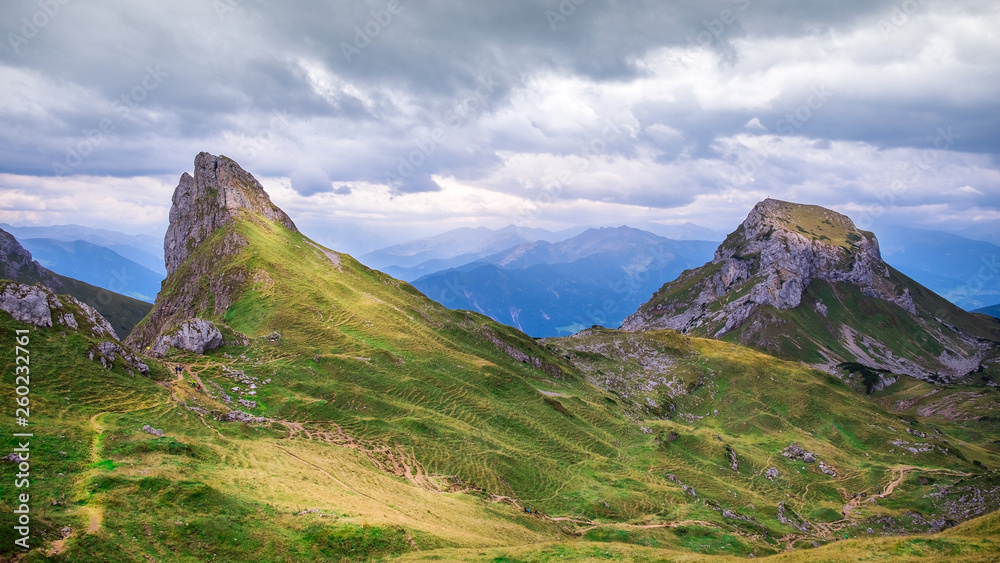 Fototapeta premium Finn of Austria