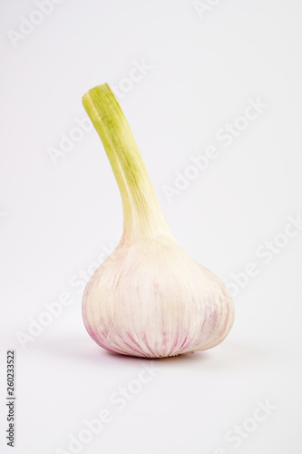 Organic garlic on white background. Young fetus.