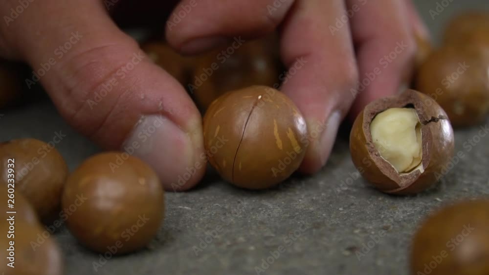 How to open Roasted macadamias on table, selective focus and toned image. Healthy food concept, slow motion and free space for text. How to open Roasted macadamias on table, selective focus and toned image. Healthy food concept, slow motion and free space for text.