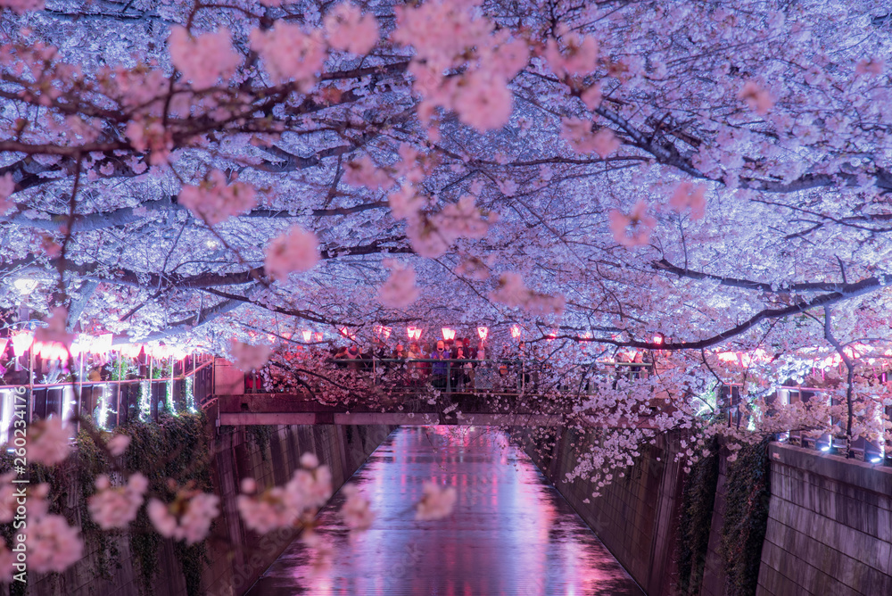 満開